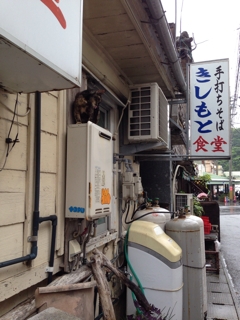 iPhoneImage.png