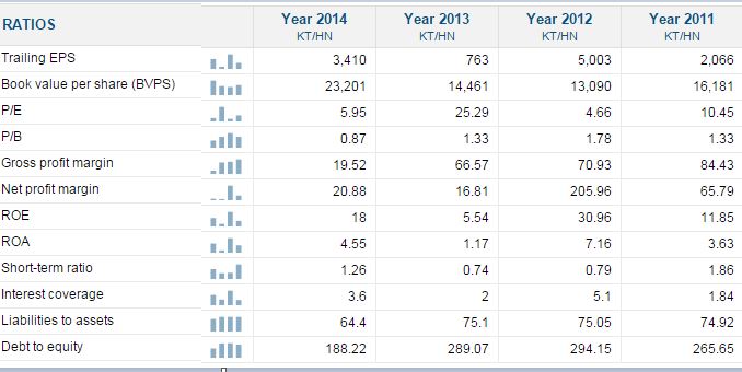 ホーチミン市インフラ投資株式会社 CII Ratio.JPG