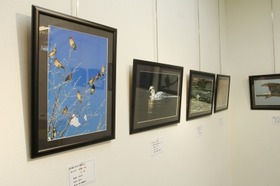 盛岡 フォトプラス 柳村敏写真展