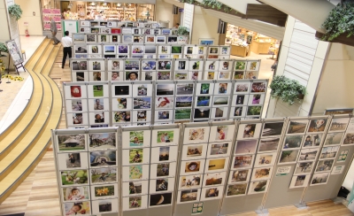 盛岡 カジュアルフォトスタジオ フォトプラス 30,000人の写真展 フェザン
