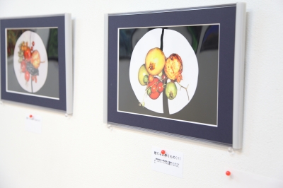 盛岡 カジュアルフォトスタジオ フォトプラス 撮影 写真展 小向サトル