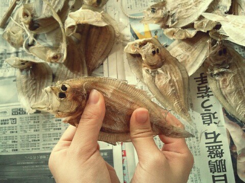 1302693787-picsay.jpg