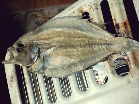 1302697390-picsay.jpg