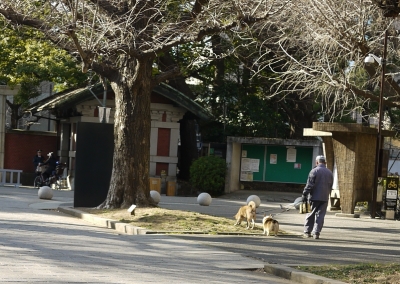P1070254.JPG