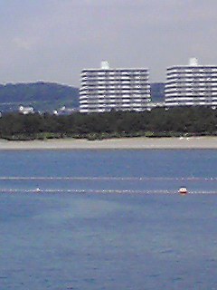 120709_1037~002.jpg
