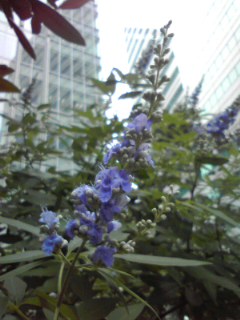 140703_1216~001.jpg