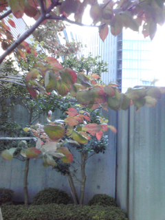 140926_1246~002.jpg