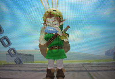 The Legend Of Zelda Diary
