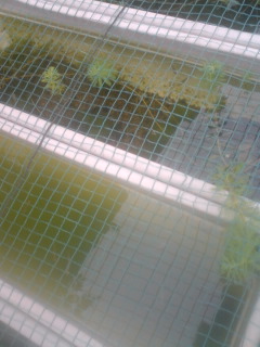 110615_1715~01.jpg