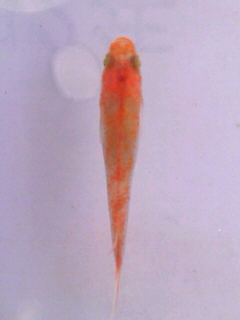 TS3V0392.jpg