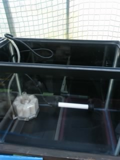 TS3V03040002.jpg
