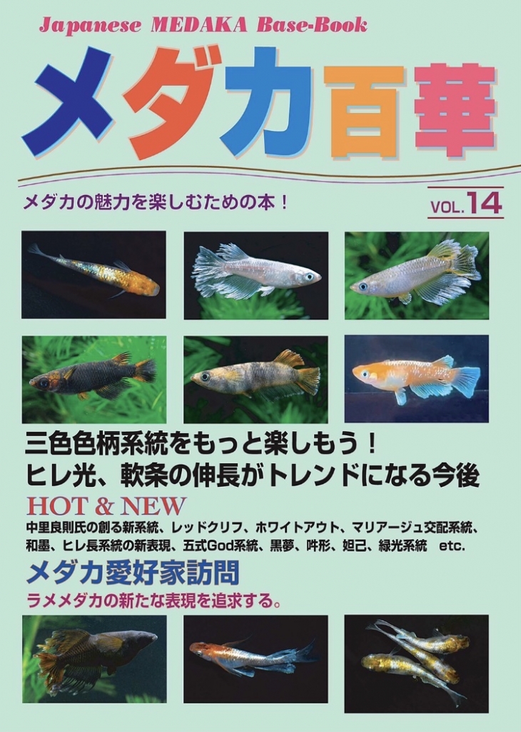 メダカ百華14号の予約受付 | メダカ日誌