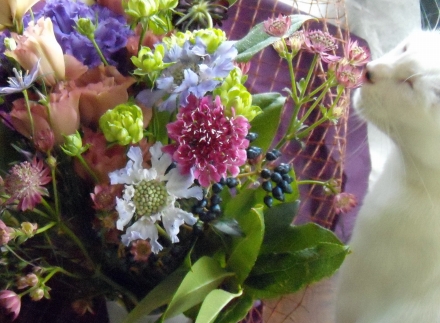 s-2010 Sep 19 peach&REPO&flowers&ルポ悼み 020.jpg