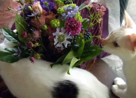 s-2010 Sep 19 peach&REPO&flowers&ルポ悼み 027.jpg