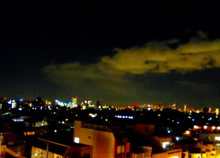 s-2011 Jan28 037.jpg