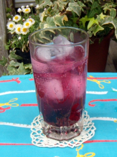 s-2011 Mar6 berry soda 007.jpg