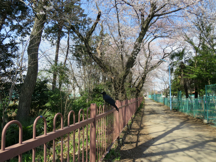 sIMG_8305.jpg
