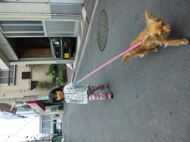SH3D02230001.jpg