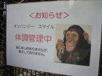 なんと、ゴメスがいない!