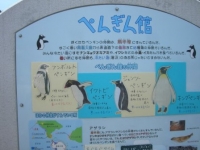 ペンギン館の入口にある手作り看板