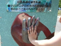 アイデア満載の展示物たち
