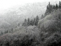 窓の外は雪景色