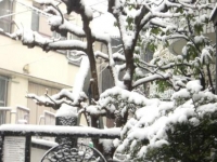 玄関開けたら雪景色