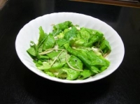 前菜のサラダ