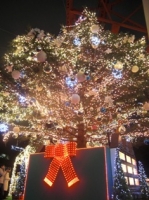東京タワーのクリスマスツリー