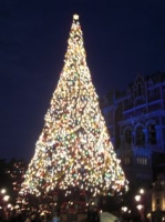 夜のクリスマスツリー
