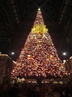 ディズニーランドの夜のクリスマスツリー