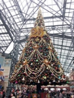 ディズニーランドのツリー