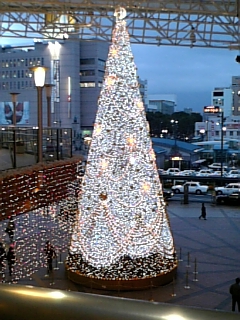 20061217_200012.jpg