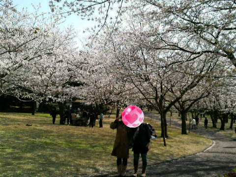 2009040304000000.jpg