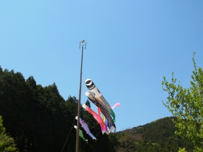 RIMG1330.JPG