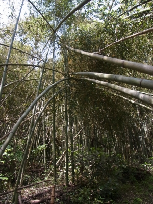 RIMG0997.JPG