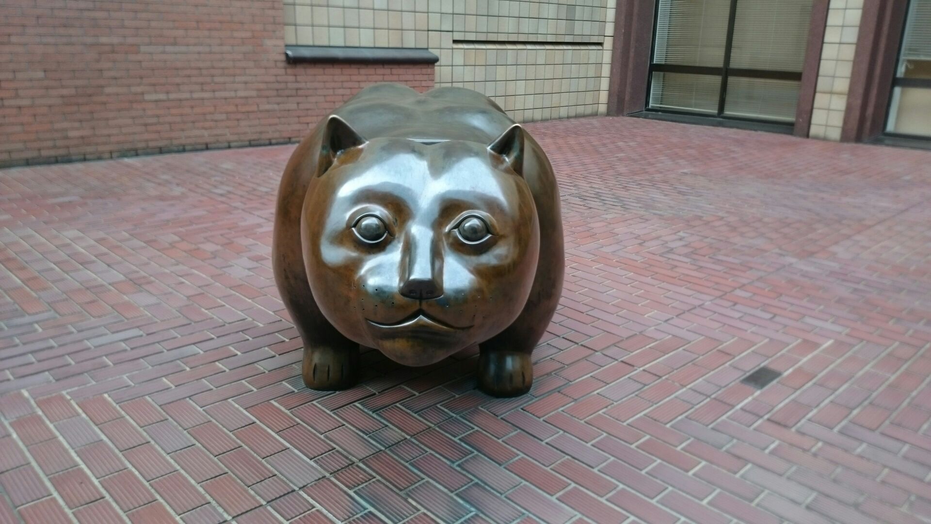 1461497579175.jpg