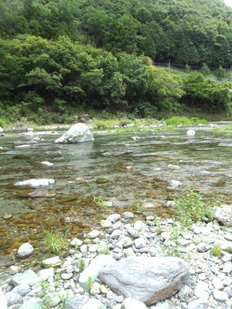 鮎喰川in徳島は最高でした!