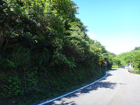 DSC01278.jpg