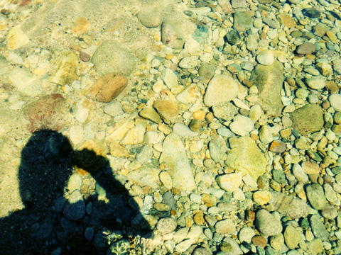 DSC01294.jpg