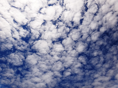DSC01349.jpg