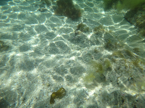 DSC01365.jpg