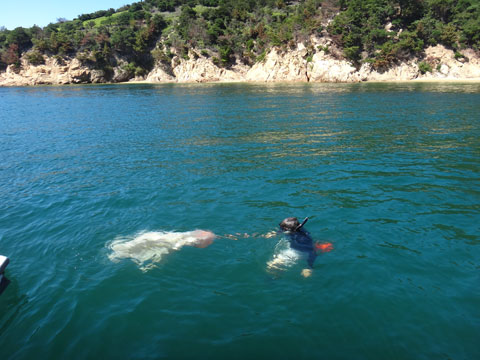 DSC01588.jpg