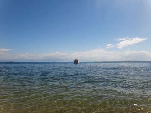 DSC01593.jpg