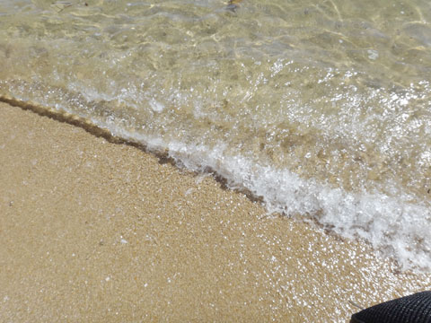 DSC01594.jpg