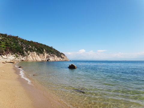 DSC01596.jpg