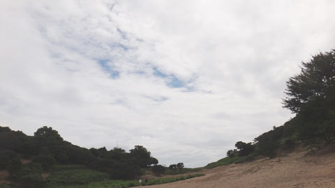 DSC01708.jpg