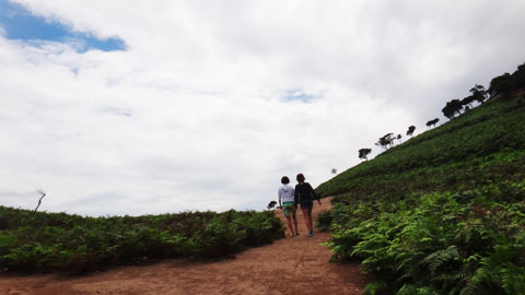 DSC01726.jpg