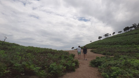 DSC01727.jpg