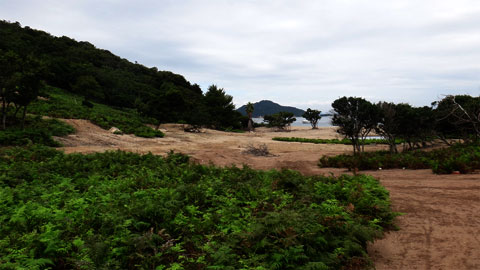 DSC01732.jpg